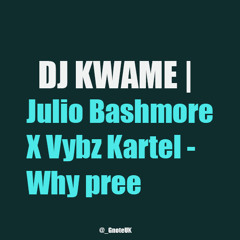 Julio Bashmore Ft Vybz Kartel - Why Pree (Remix)