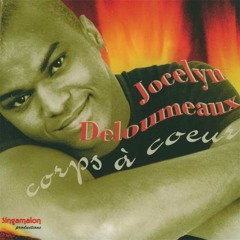 Jocelyn Deloumeaux - Proteksyon