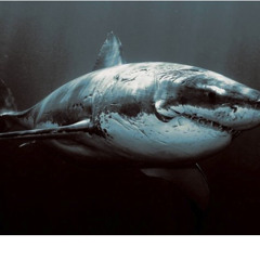 Michael Jackson vs Crookers - Rendezvous Criminal (Snyen Bootleg)