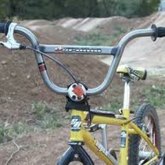 Handle Bars
