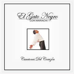 VOLVER VOLVER CON MARIACHI