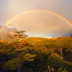 Megablast - Rainbow Love Dj Mix (June 2013)