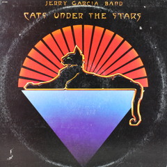 Jerry Garcia Band - Cats Under The Stars (Hermano Dynamicron Quick Edit)