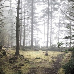 5 Years Later ( by House of tree )