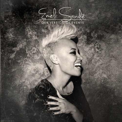 Stefan Biniak - The Read All About It Bootleg [Emeli Sande]