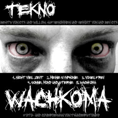 Tekno - Vogelfrei (#3 Wachkoma-EP 2013)