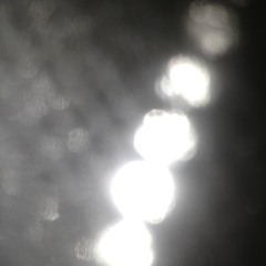 فجر الخميس-مصعب بافضل