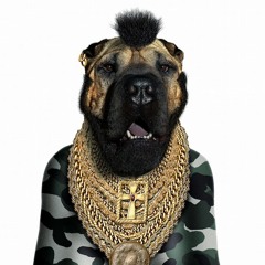 Hip-Hop