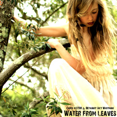 "Water from Leaves" Collab - H2708 Chris & Bethany Sky Whitman