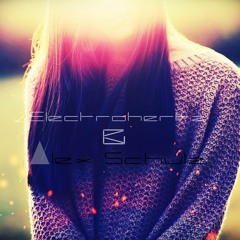 Electrohertz & Alex Schulz - Take a look [Original] now Free DL!