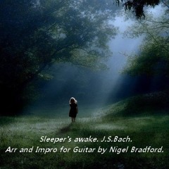 Sleeper's Awake J.S.Bach Arr for Guitar with impro Nigel Bradford.
