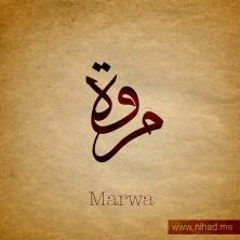 مروى الصالحي تزها تونيزيا