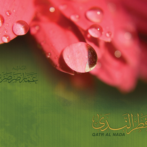 07 - Saharan Halla - 2010