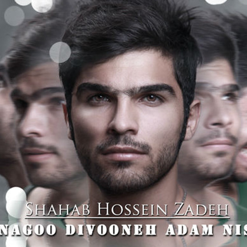 Shahab Hossein Zadeh
