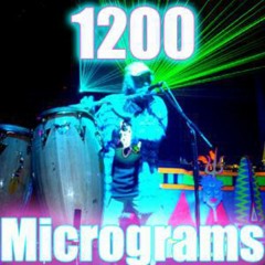 1200 Micrograms - DMT