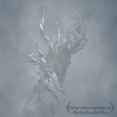 The Methuselah Tree (Early Album Demo)
