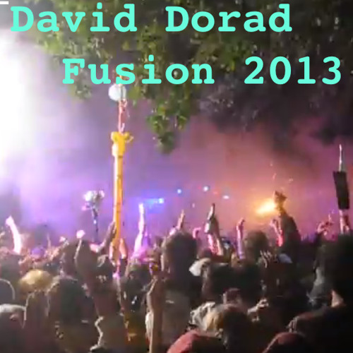 David Dorad@Fusion_Bachstelzen 2013