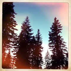 Centrikal - Tech Trek 2013