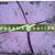 Artwork for Gotta Roll
