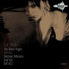 Cut Knob - The black virgen (Original Mix) Soundteller Records / Out Now