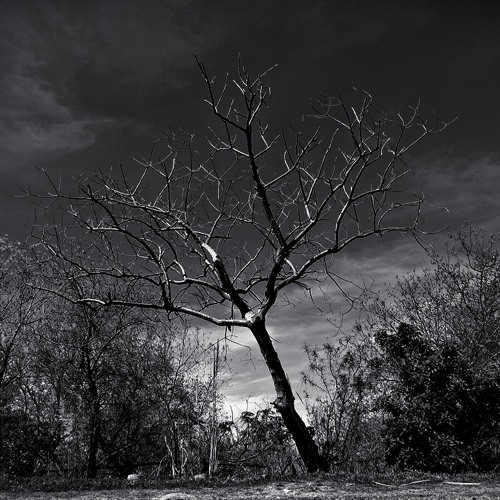 Tony Rivera - Late Night Beats - Episode 027