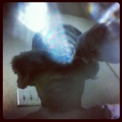 TrapBoiz x Head High