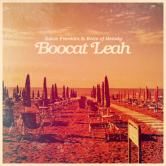 Adam Franklin & Bolts of Melody - Boocat Leah