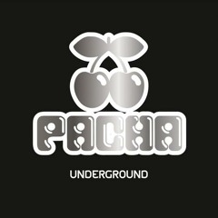 Ulf Alexander - Coastguard (Original Mix) - Snippet (out on Pacha Underground 14th June 13)