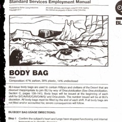 Body Bag (Black DeLorean)