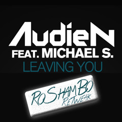 Audien ft. Michael S - Leaving You (RoShamBo ReTweak) MV2