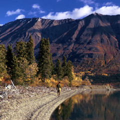 Alone in the Wilderness prod. by Preference