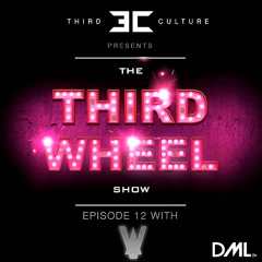 The Third Wheel Show - Episode 12 (With Walden)