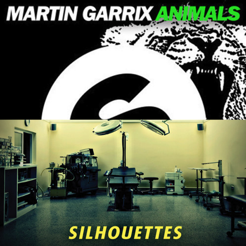 Martin Garrix vs. Avicii - Animal Silhouettes (Luis Garcia's Mashup)