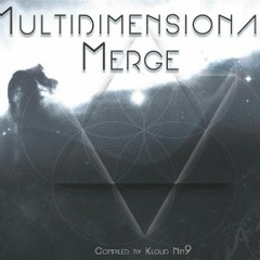 Reckoning - VA Multidimensional Merge [Glitchy.Tonic Records] 138