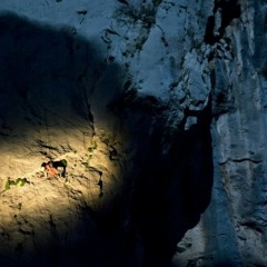 mala tragadija - remake