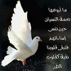 دراج البيت مجيد الرمح