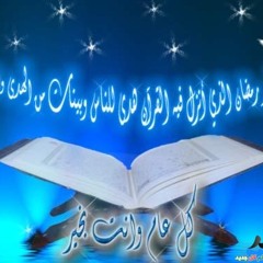 نوفل