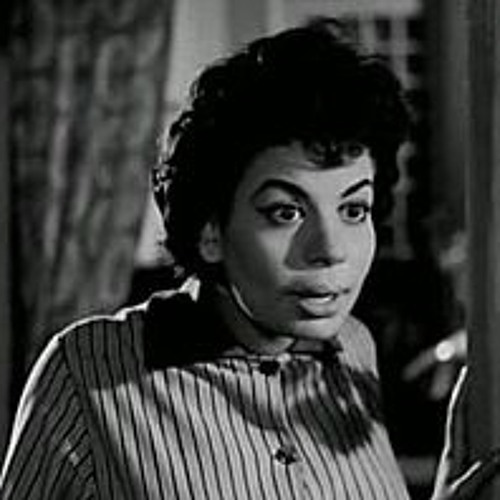 يوميات زوج: الأستاذ محمود وحرمة في المصيف