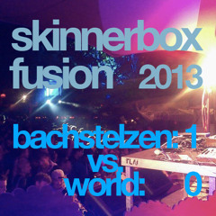 live at the FUSION FESTIVAL 2013 (bachstelzen-1 : world-0)