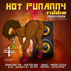 Hot Punanny Riddim Megamix Summer Session 2013