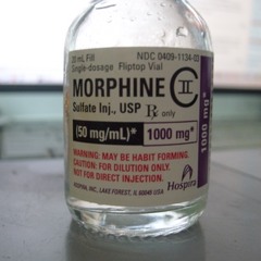 Guesswerk & Saxadelic - Morphine (Free Download)
