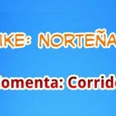 Conjunto Pena Blanca Mix 2013