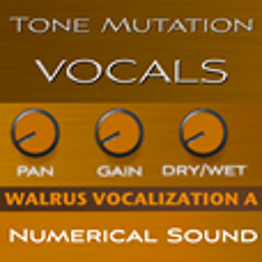 Tone Mutation: Vocals solo voice with vibrato effect off then on