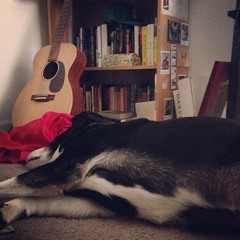 Rootless Tree (Cover) - Kaitlyn Mason