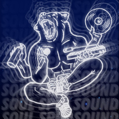 DEEJAY MEDVED' - SOUL SPIN SOUND #1