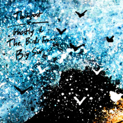 Thompost - The Birds From Big Sur