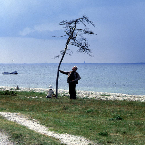 #96 El sacrificio (1986), de Andrei Tarkovsky