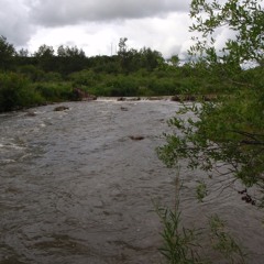 The Banks Of The Bow/featuring Jim Kukko, Pat Hatherly, Cathy Cook and David Glowasky