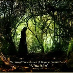 Ninaithu ~ Official Song [2013] ~ Thyivya Kalaiselvan Feat Shane X-treme And D7