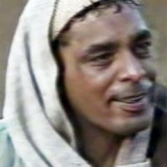 الحب زي الطيور _ محمد منير